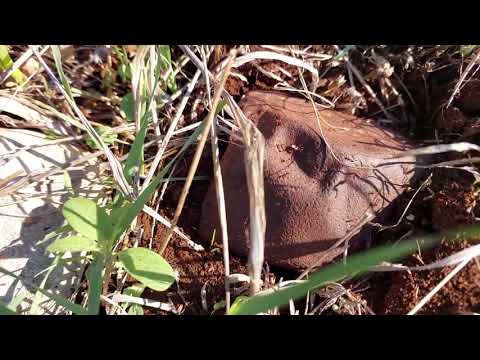 СЛЕДЫ НЕПОНЯТНОЙ ЦИВИЛИЗАЦИИ . САМАРИЯ . ИЗРАИЛЬ.