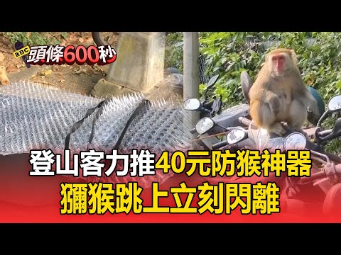 再來啊！登山客力推「40元獼猴剋星」效果絕佳？【頭條600秒】