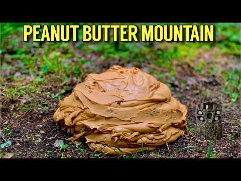 Leaving a PEANUT BUTTER Mountain in the Woods - Here's what happened! Trail Camera