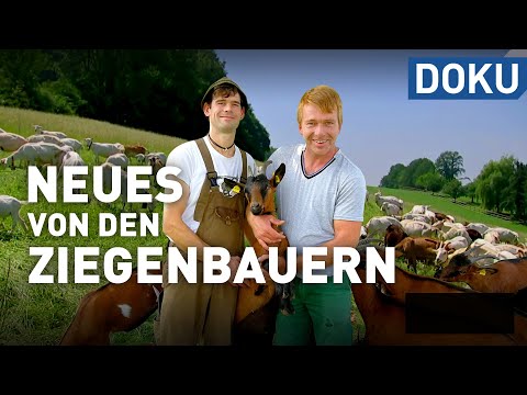 Neues von den Ziegenbauern vom Bergwinkel | doku | erlebnis hessen