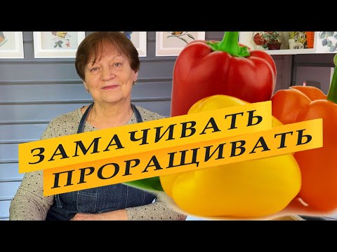 Замачивать или проращивать. Как правильно. Сладкий перец.