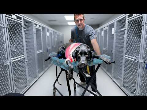 Watch the Moment I Realize I Have to Take Her 🥹