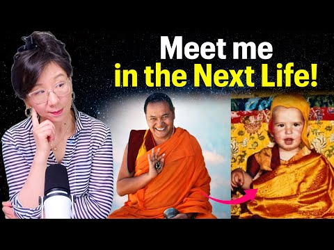 The reincarnated Lama: The true story that defies logic