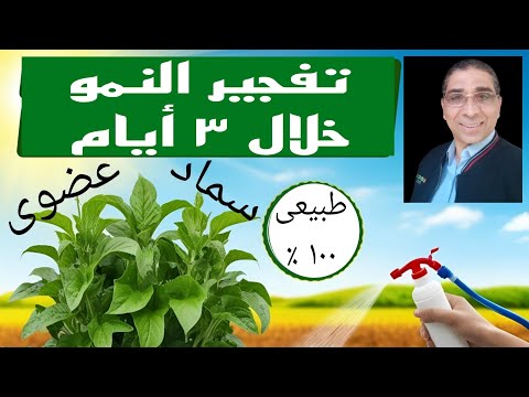 أقوى سماد عضوي طبيعي لتفجير النمو الخضري خلال 3 أيام فقط! النتيجة مذهلة!