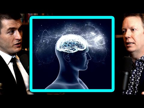 Physicist argues about consciousness | Sean Carroll and Lex Fridman