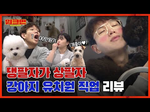 [ENG] ※클릭하면 헤어나오지 못할 영상※ 인생 🐶같이 살고싶게 만드는 강아지 유치원 직업 리뷰 ㅣ워크맨 ep.38