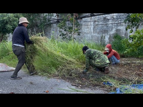 Cleaning a Forbidden Sidewalk Area—We Earned $2,000 in Just 2 Days of Hard Work .
