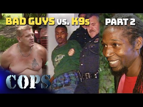 Bad Guys vs. K9s - Part 2 | Compilation | COPS TV SHOW
