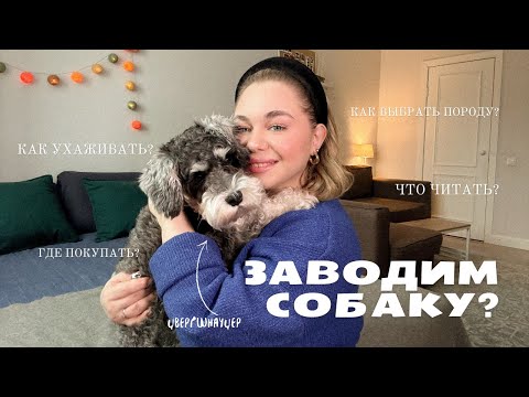 3 ГОДА С ЦВЕРГШНАУЦЕРОМ. НАШ ОПЫТ И СОВЕТЫ