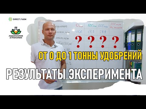 Урожайность на эксперименте по применению удобрений