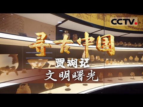 《寻古中国》文明曙光：贾湖骨笛复现八千年前的远古乐音 中国文字起源藏在龟甲符号里—— 贾湖记【CCTV纪录】