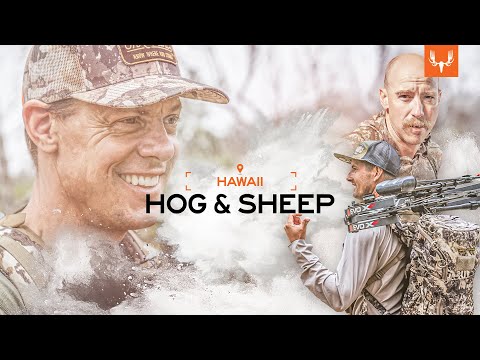MeatEater | Hawaii Hogs and Sheep