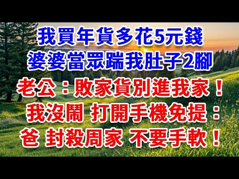 我買年貨多花5元錢，婆婆當眾踹我肚子2腳，老公：敗家貨別進我家！我沒鬧，打開手機免提：爸，封殺周家 不要手軟！#詩涵講故事#為人處世#生活經驗#情感故事#晚年哲理#說故事#完結文#原創故事