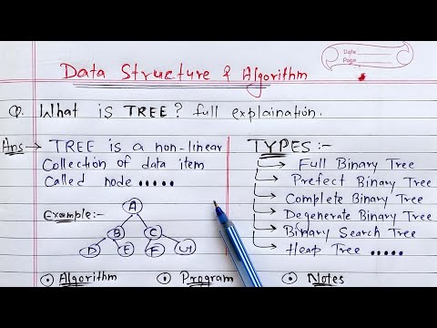 Tree in Data Structures | Learn Coding