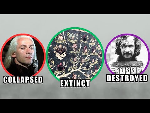 How the Sacred 28 DESTROYED Themselves — Every Family Ranked!