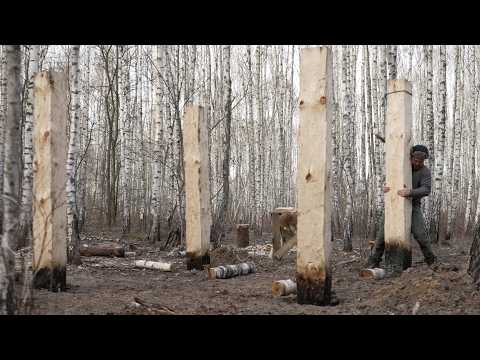 I am building a wooden workshop using the methods of our ancestors