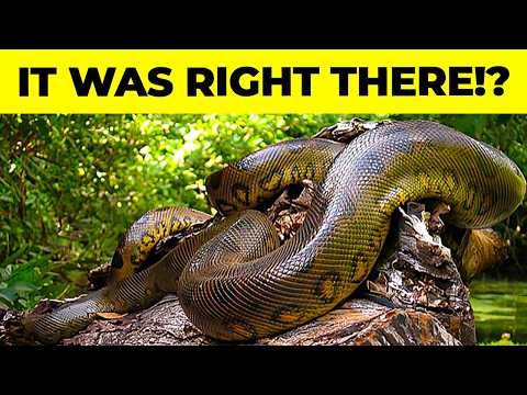 25 Strange New Species Scientists Recently Discovered