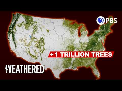 The Biggest Climate Scam Ever?