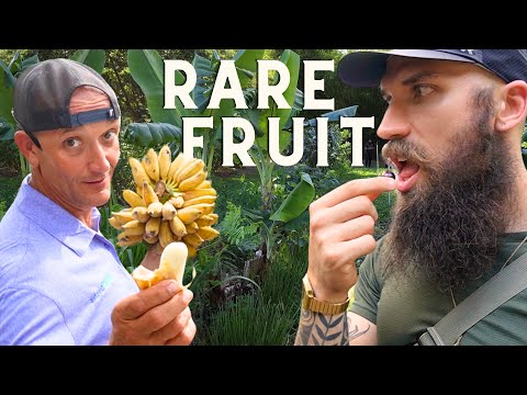 TOUR [Pete Kanaris] Rare Food Forest / Syntropic Agroforestry in FLORIDA