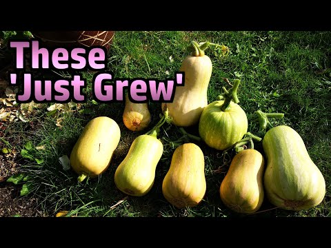 Random Stuff - Garden, Fungus Day, Spain, Comment Positivity, Fishing