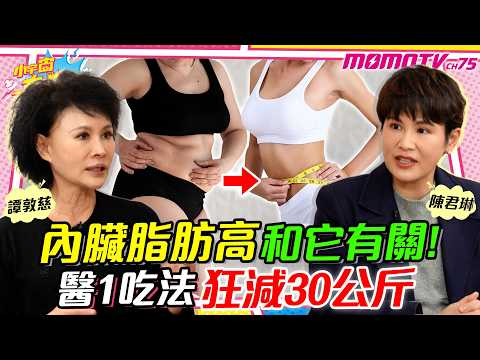 內臟脂肪 高和它有關 1吃法狂減30公斤 十年 不復胖 ! ft. 陳君琳 醫師 譚敦慈 【 小宇宙大爆發 】