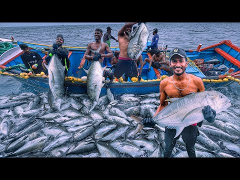 Unbelievable Monster Fishing‼️ Tons of Trevally in One Catch 🤯 | Deep Sea Fishing