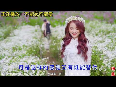 酒吧震撼重低音DJ车载舞曲，首首劲爆，曲曲嗨皮，高音质大碟！