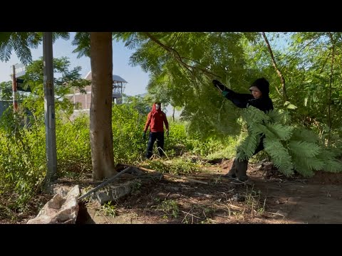 👉 You Won’t Believe This Filthy Sidewalk at the Entrance of a Luxury Street—Extreme Cleanu