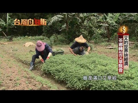 「艾的世界」拚經濟　茶鄉轉型艾草飄香20200704【台灣向錢衝】PART3