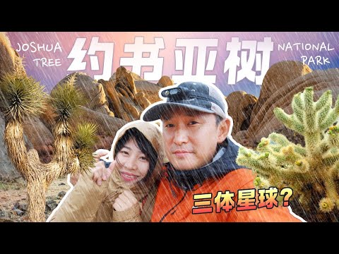 Unsuccessful Trip To The Usa Unexpectedly Leads To Three-body World? Joshua Tree Travel Guide