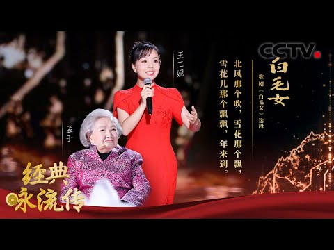 记忆中的旋律！王二妮演绎经典《北风吹》一开口就惊艳全场 | CCTV「经典咏流传 第四季」