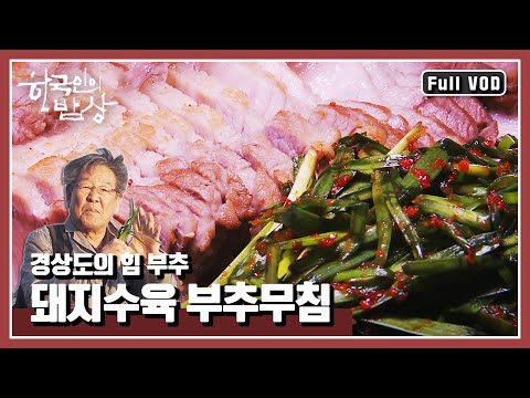 [한국인의밥상★풀버전] 부부간의 정을 오래도록 지켜준다는 ‘정구지’ 뿌리부터 꽃까지 버릴 부분 없는 부추의 변신!|“청춘을 돌려다오 경상도의 힘 부추” (KBS 140501 방송)