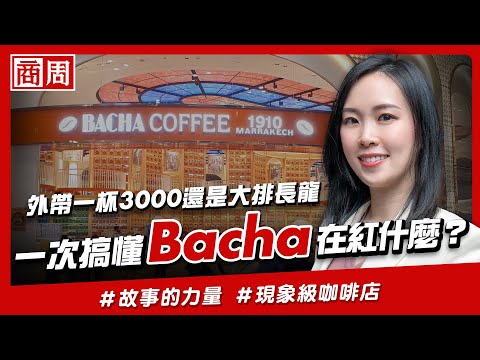 #Bacha 為何能在不產咖啡的新加坡變爆紅品牌？ 看懂它連紙袋內都燙金的極致行銷 【懂商業看商周】Ep.36
