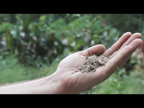 Survival Gardening Secrets (That Even Work in Lousy Dirt) - Complete Presentation