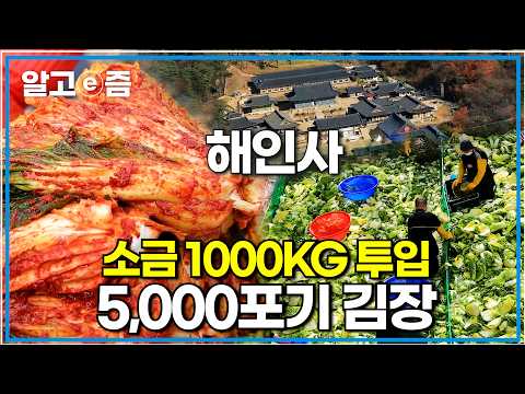 4일간 5,000포기의 김치가 완성된 해인사. 김장철이면 어김없이 돌아오는 해인사 김장 울력｜한국기행｜알고e즘