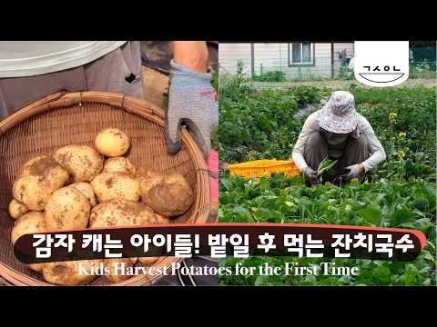 감자 캐는 아이들! 밭에서 먹는 잔치국수는 꿀맛. 알록달록 당근,비트까지 갱숙이네