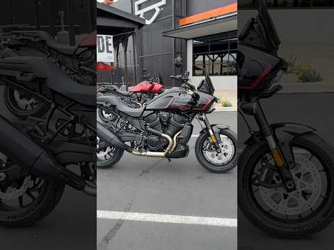 2025 Harley-Davidson Pan America ST Start up and walk around. #panamericast #harleydavidson