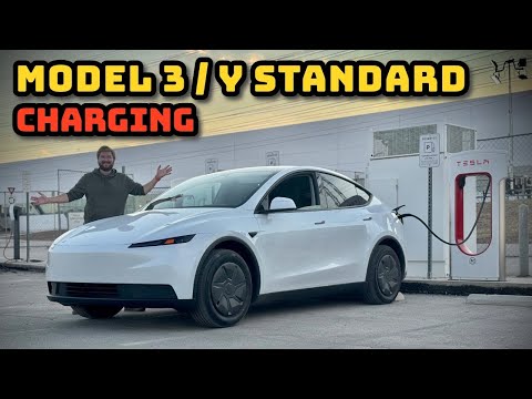 Tesla Model 3/Y Standard (69.5kWh) Charging Analysis!