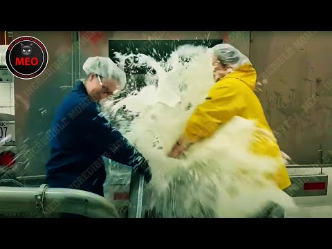 Moments When Things Went Wrong | Best Of Month (P3)