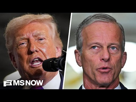 Thune: Senate will take up Trump's 'SAVE America Act' next week