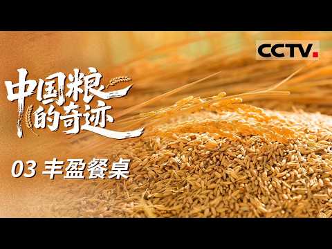 《中国粮的奇迹》03 丰盈餐桌:中国人民的餐桌巨变 从吃不饱到吃得好 近14亿人的口腹之欲得到充分满足【CCTV纪录】