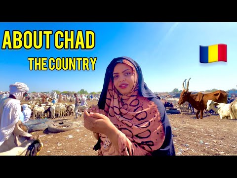 The most underrated Country in the world “CHAD” 🇹🇩