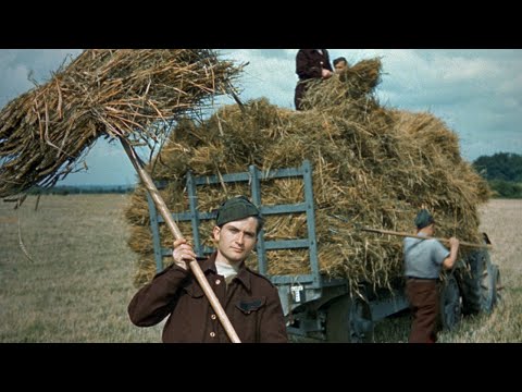 German POWs Couldn’t Believe British Civilians Welcomed Them to Work on Farms