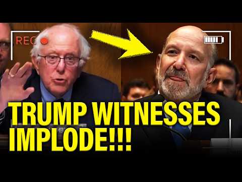 TOP Trump Officials COLLAPSE under CROSS EXAM at HEARING!!!