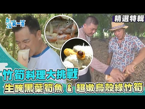 台灣第一等【東勢山林獵人生醃一枝花 挑戰苦口黑葉筍／大林烏殼綠竹筍 雨怪暗夜大爆發】 _精選特輯