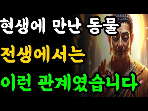 현생에 만난 그 동물… 전생에서는 이런 관계였습니다 | 부처님말씀  | 부처님지혜 | 불교철학 | 불교명언