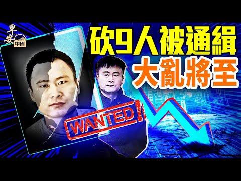 男持刀砍9人全城通緝；湖南店主舉報官員後喝藥自爆；張雪峰等遭整肅；Canon中山廠停產千人失業；官方禁公布房市數據、地方10萬億債續命；｜#早安中國 12.03.2025