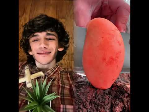 🤣👌👌👌2025 pov Must-Watch Crazy Clips Compilation #humor #fypシ #pov #fyp #foryou 😍😜