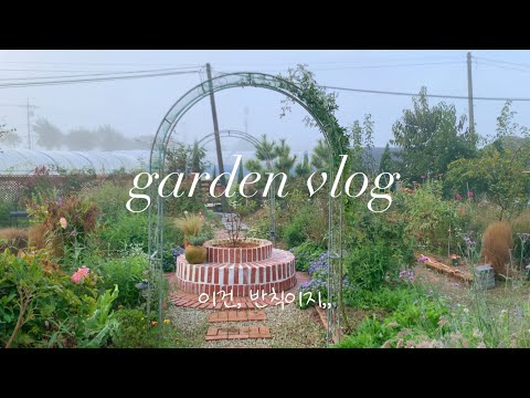 가을이 만든 정원🪴 | 최고의 선물🌱 아치가 이러면 곤란해 | 세상 무해한 행복개🐶 | 나리온 송풍기 구독자 이벤트 🎉