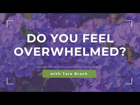 Do You Feel Overwhelmed? Turning Stress into a Gateway of Awakening, with Tara Brach